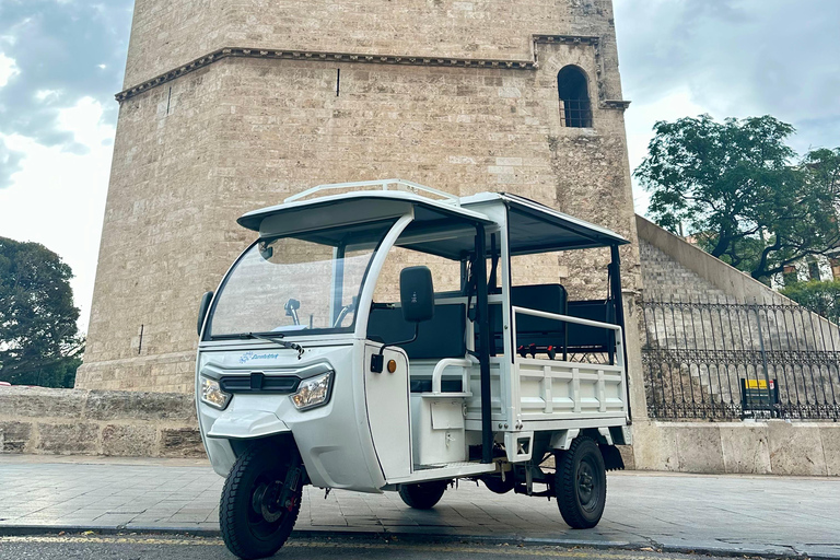 Valencia - Komplette TukTuk Tour 2H