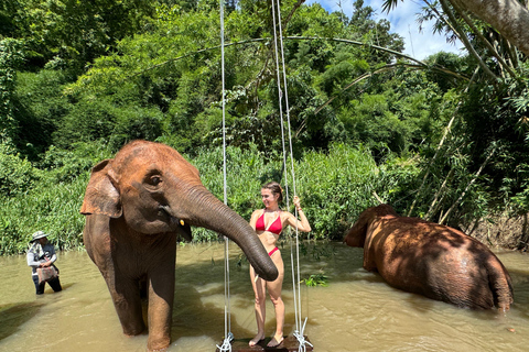 Chiang Mai: Santuario degli elefanti, sentiero dei monaci e tour di Doi SuthepPunto di incontro