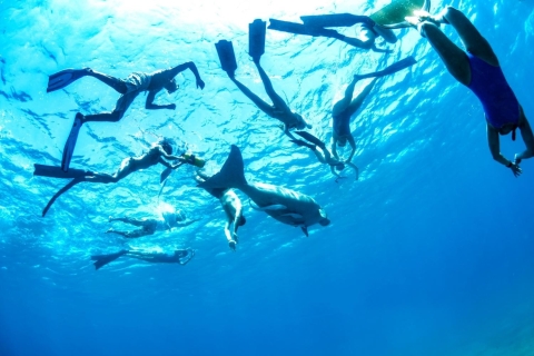 Zatoka Makadi: Snorkel, nurkowanie, Parasail i Orange Island z lunchem