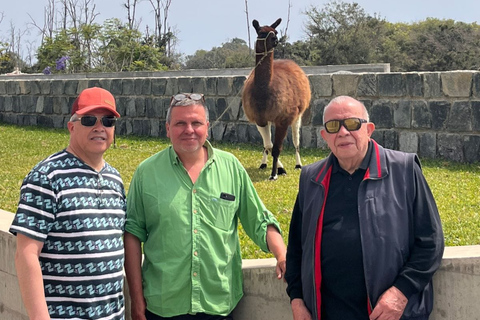 Lima: Private Tour of Barranco, La Herradura, and the Pachacámac Sanctuary