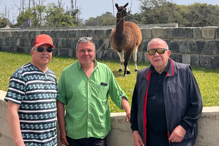 Lima: Private Tour of Barranco, La Herradura, and the Pachacámac Sanctuary