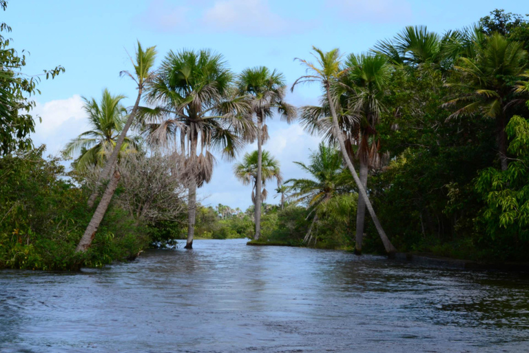 Rio Preguiças: Monkeys, Lighthouse & Caburé Beach