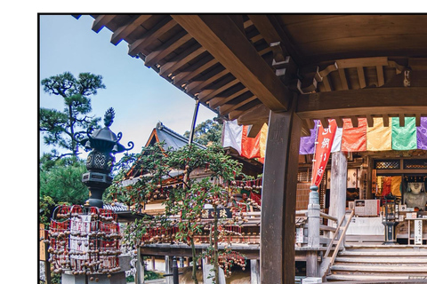 Nara: Guided Walking Tour with Tea Ceremony & Calligraphy