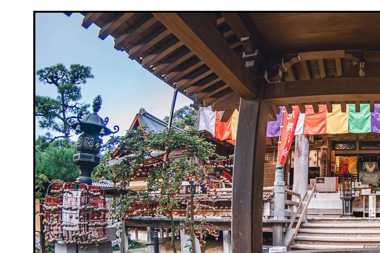 Nara: Guided Walking Tour with Tea Ceremony & Calligraphy