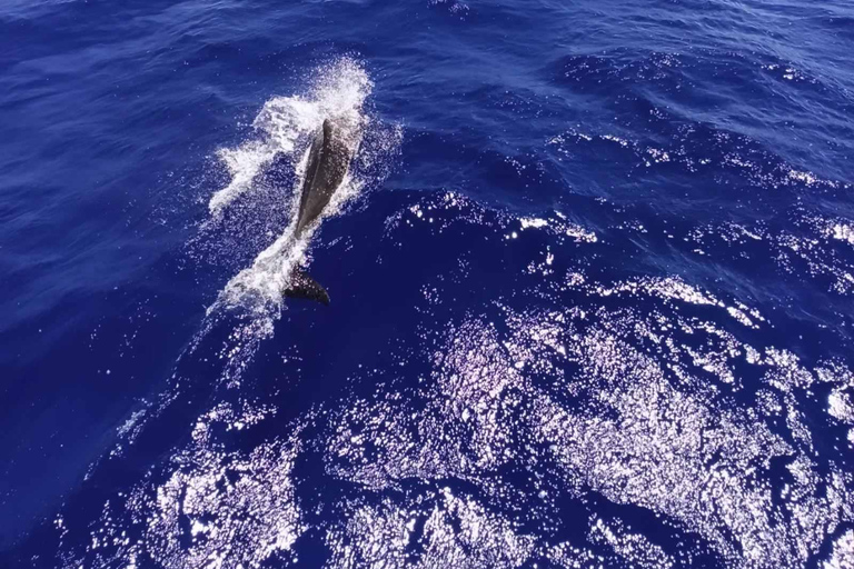 Heraklion: Dia Island Sailing Trip with Meal & Drinks