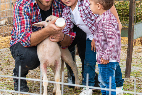 Tour at a Farm and cheese factory Guided Tour at a cretan farm with cheese factory