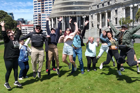 Wellington: City Highlights Guided Tour with Cable Car Ride