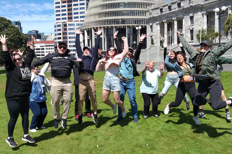 Wellington: Tour guidato della città con viaggio in funivia