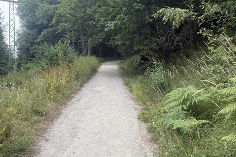 索非亚：维托沙山径跑之旅（初级/中级/高级）索菲亚：维托沙山径越野跑之旅（轻松/中等/困难三档可选）