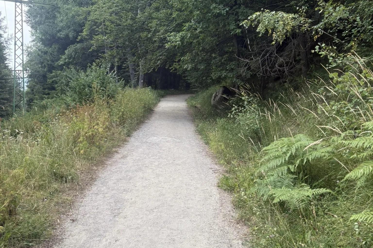 索非亚：维托沙山径跑之旅（初级/中级/高级）索菲亚：维托沙山径越野跑之旅（轻松/中等/困难三档可选）