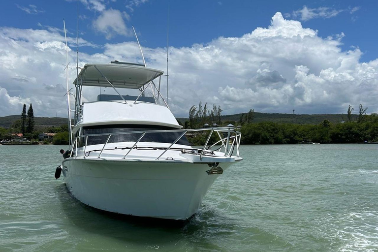 Falmouth: Yacht Cruise with Luminous Lagoon with Lunch