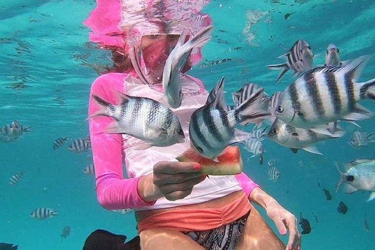 Vanuit Zanzibar Mnemba Eiland-Snorkelen Dagtour met Lunch