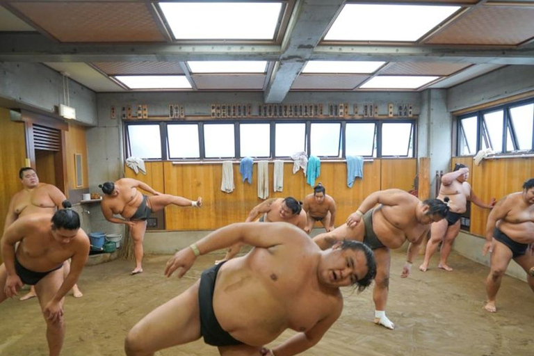 Tokyo : Visite de l&#039;entraînement matinal des sumos avec sièges au bord de l&#039;arène