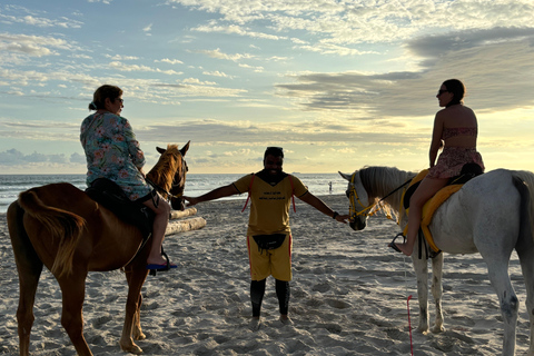 Salalah: Passeio a cavalo na praia com recolha e entrega no hotel60 minutos de passeio a cavalo na praia