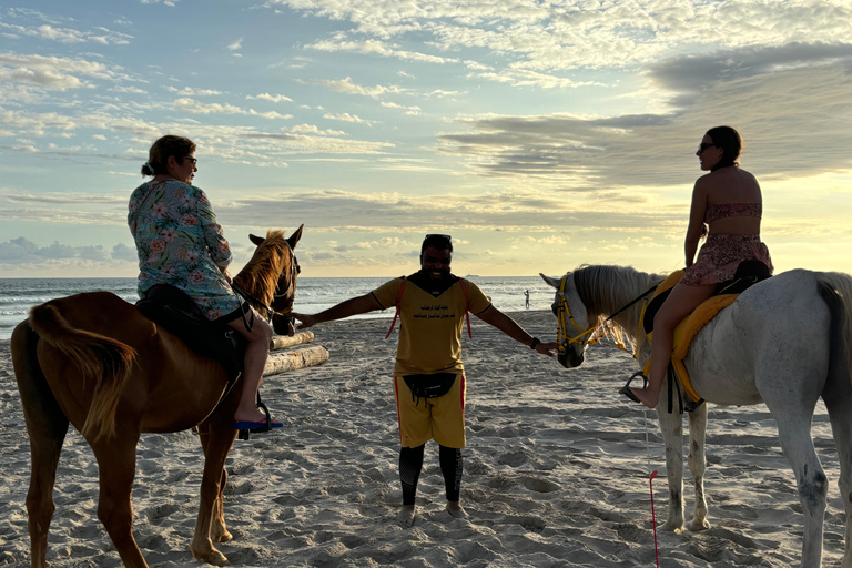 Salalah: Paseo a Caballo por la Playa con Recogida en el Hotel60 minutos de equitación en la playa