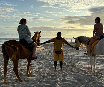 Salalah: passeggiata a cavallo sulla spiaggia con trasferimento dall'hotel