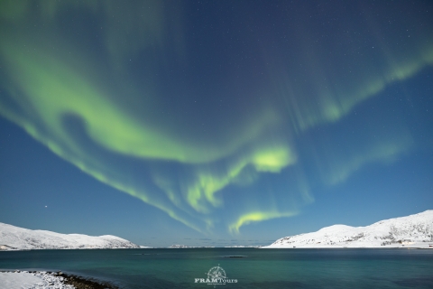 Tromso : Expédition de chasse aux aurores boréales et de photographie