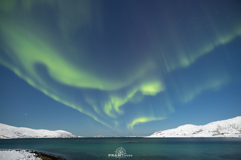 Tromsö: Norrskenstur med fotograf