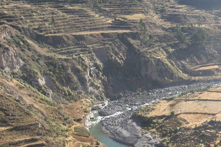 Excursion d&#039;une journée au Canyon de Colca depuis Arequipa Départ 8h00