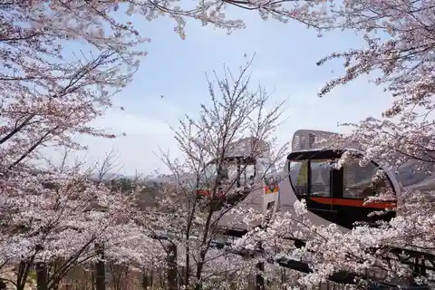Séoul : Forêt de Hwadam, Namhansanseong et village folklorique coréen