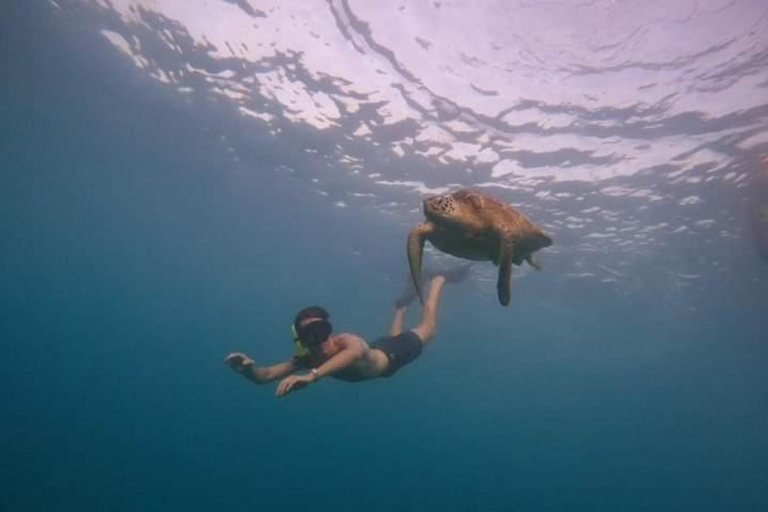 Snorkeling and Sunrise Boat Tour