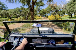 Alentejo Cork and Wine Experience with 4x4 Tour