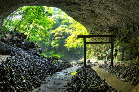 From Fukuoka: Miyazaki, Takachiho Gorge and Shrines Day Tour