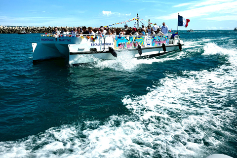 Sète: 3-in-1-rondleiding door de stad via de kanalen, de zee en het meerSète: 3-in-1-rondleiding door de stad langs de kanalen, de zee en het meer