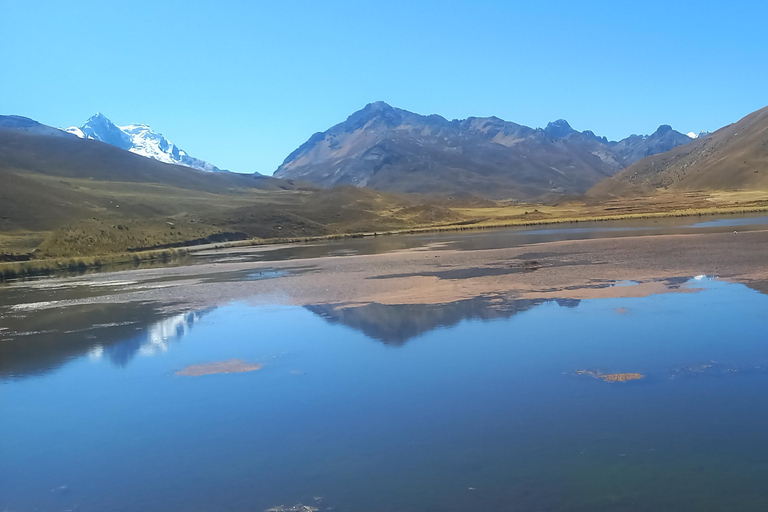 Depuis Huaraz : Excursion d&#039;une journée au glacier Pastoruri et au Puya Raymondi