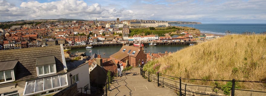 Da York: Tour delle North Moors e di Whitby