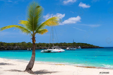 Punta Cana : Catamaran pour l&#039;île de Catalina, déjeuner et plongée en apnée