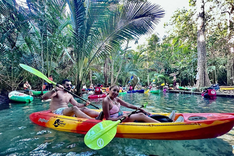 Le kayak à la racine de klong comprend le VTT et le tir.