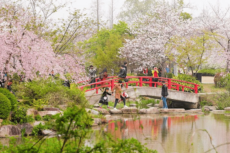 From Shanghai: Taihu Dongshan Hike & Lakeside Sunset Tour