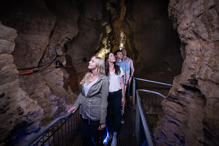 LUCIÉRNAGA DE WAITOMO Y CUEVAS DE RUAKURI - EXCURSIÓN COMBINADA DESDE AUCKLAND