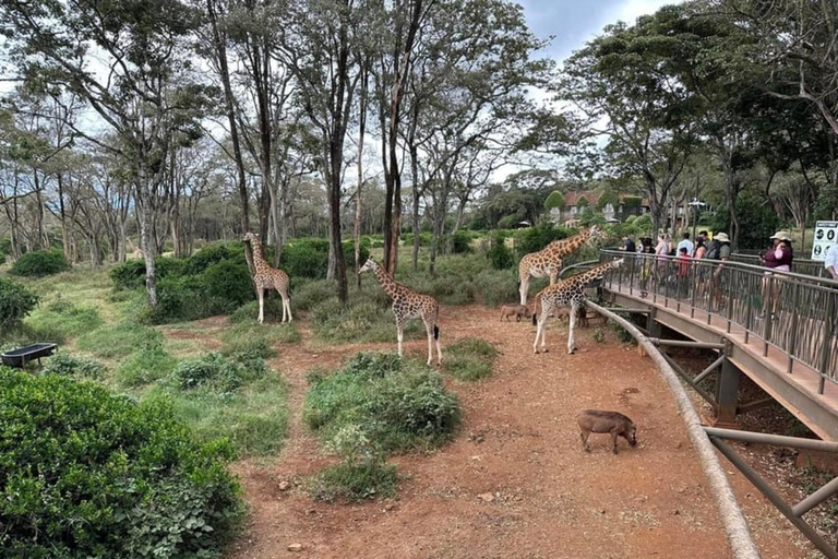 Nairobi: Giraffe Centre, Karen Blixen, and Bead Factory Tour