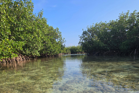 Key West: Prywatna wycieczka z przewodnikiem kajakiem