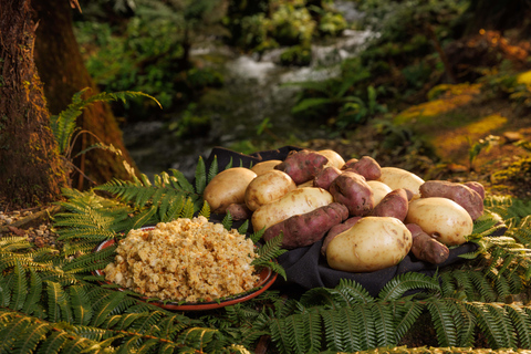 Auckland: Excursión cultural y geotérmica maorí de Rotorua y almuerzo