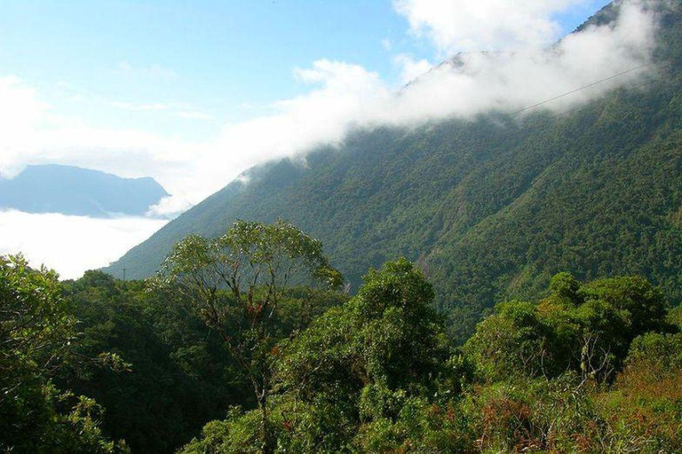 Manu: 7-Day Amazon Wildlife Tour with Jungle Lodges