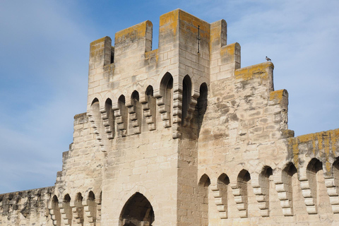 Avignon - Visite privée à pied de la vieille ville