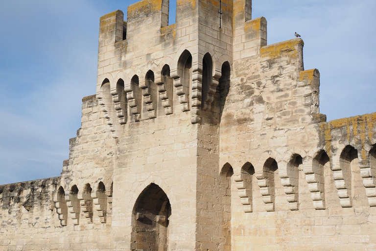 Avignon - Visite privée à pied de la vieille ville