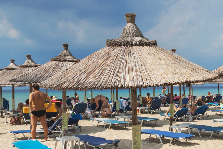 Saloniki: Halkidiki/Sithonia Swim, Sunset &amp; Olive Tour