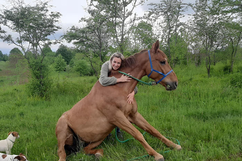 Plitvice: Horseback Riding Tour with Cave Entry Ticket Ride to Barać Caves (Half‑day Horseback Tour)