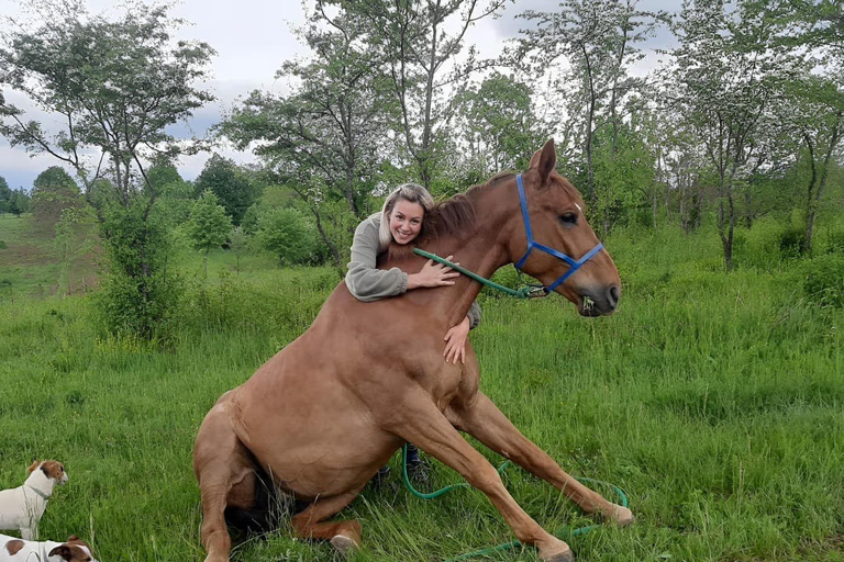Plitvice: Horseback Riding Tour with Cave Entry Ticket Ride to Barać Caves (Half‑day Horseback Tour)