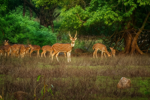 Shore Mumbai : 1 or 2 Days Customizable Private Experience Group Design Your Mumbai Tour: One Days Custom Experience