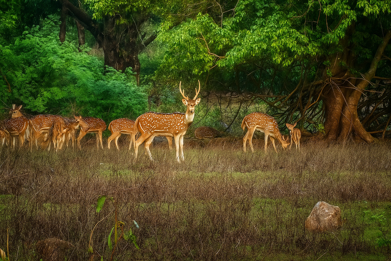 Shore Mumbai : 1 or 2 Days Customizable Private Experience Group Design Your Mumbai Tour: One Days Custom Experience