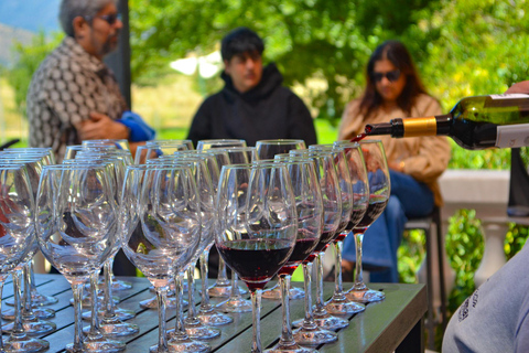 Santiago: Valparaíso Cruise Port Transfer & Vineyard Tour