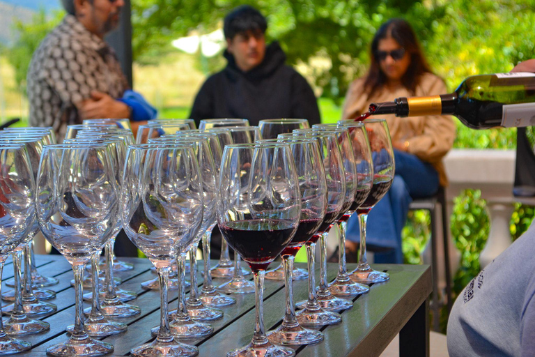 Santiago: Valparaíso Cruise Port Transfer & Vineyard Tour