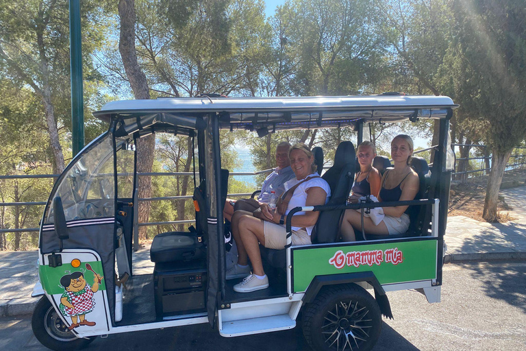 马拉加：圣诞夜之旅和嘟嘟车灯光之旅