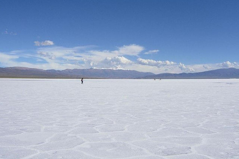 Salta: Safari to the Clouds & Salinas Grandes by 4x4