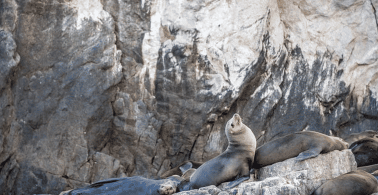 La Paz: obilazak otoka Espiritu Santo